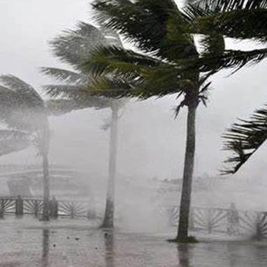 Three-Prevention Typhoon Warning Plan