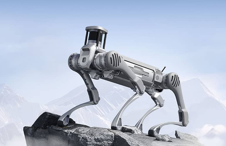 Application Solutions and Analysis for Quadruped Inspection Robots