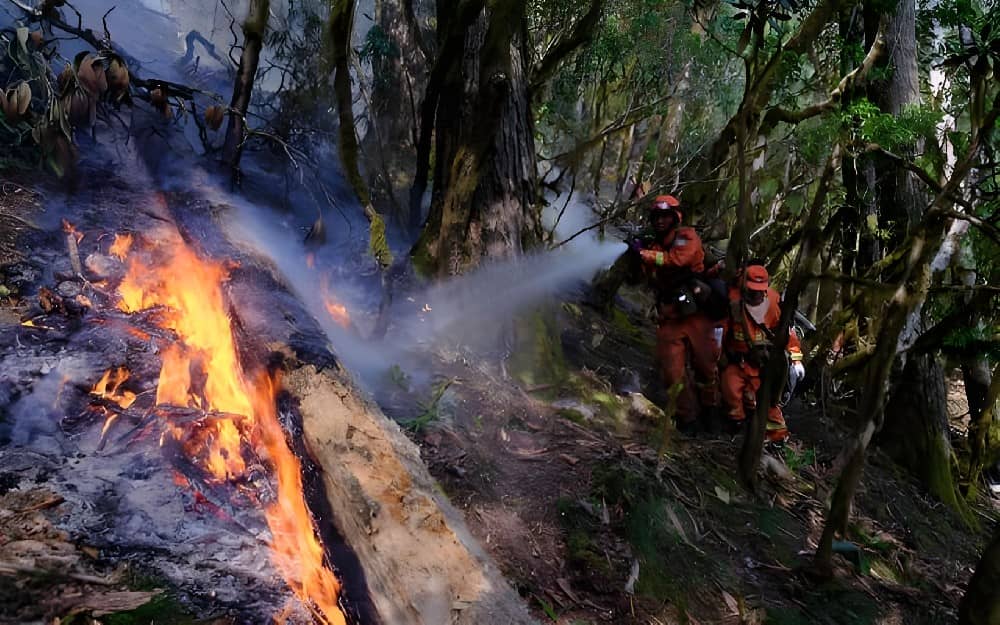 Application Case Analysis and Evaluation of Portable Fire Pumps